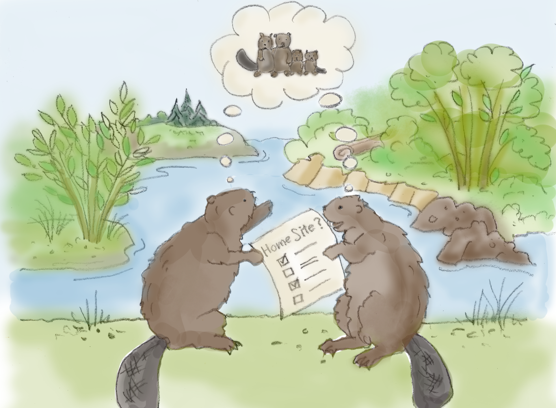 beaver-pair-considering-settlement-site-for-home