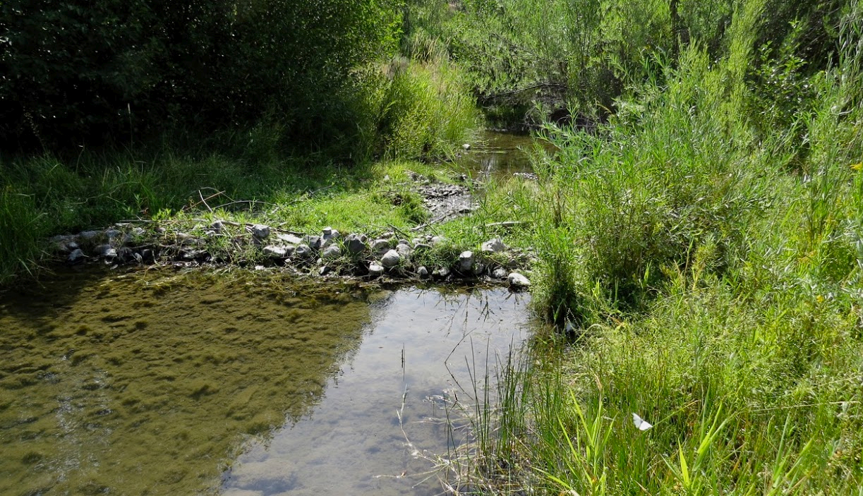 Marks-Creek-downstream-restoration-rock-dam