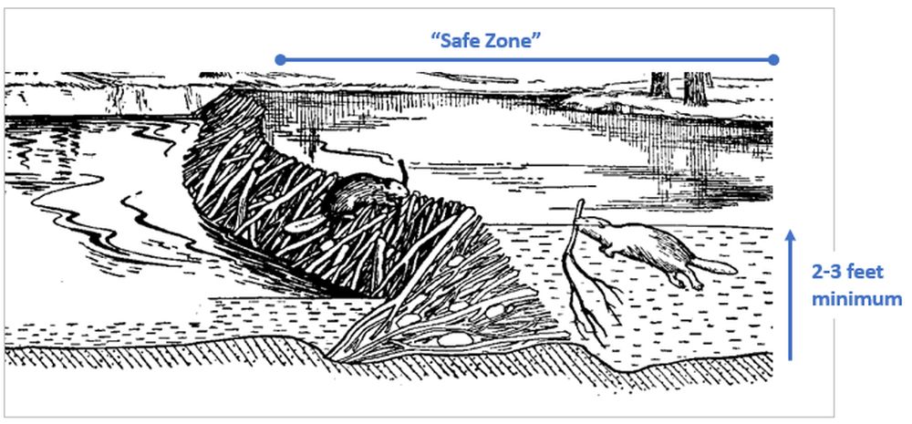 beaver-safety-zone