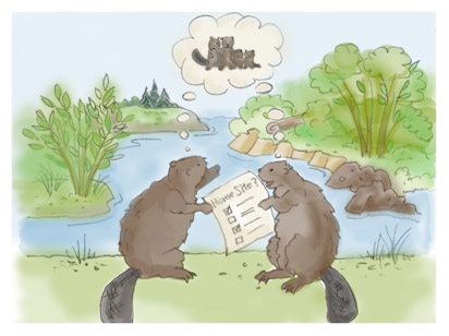 beaver hood home plans