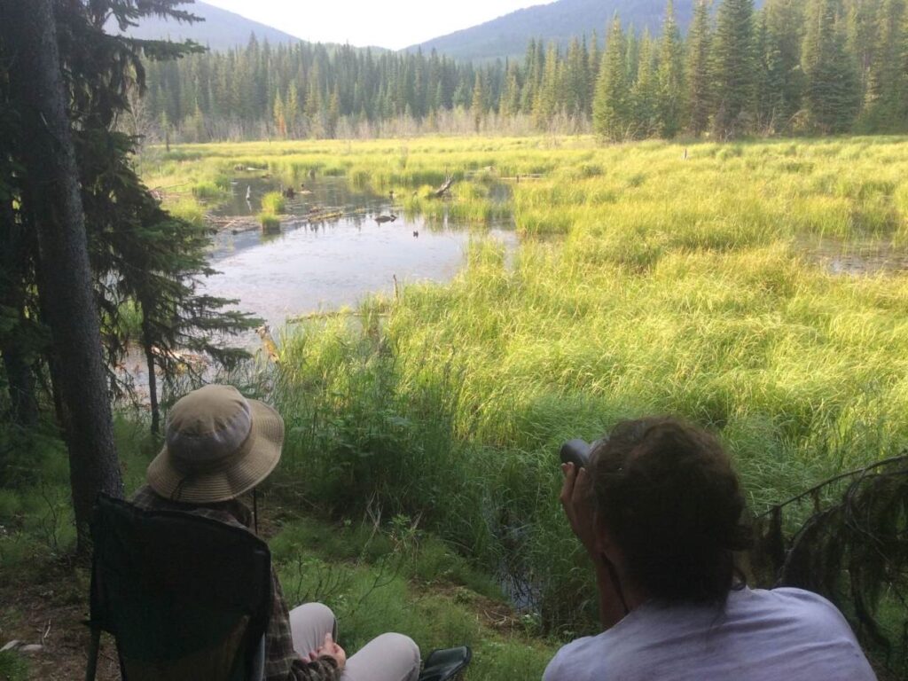 People enjoying beaver habitat